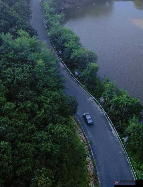 天天炫斗天空之城天人之境，挑战级关卡深度通关秘籍