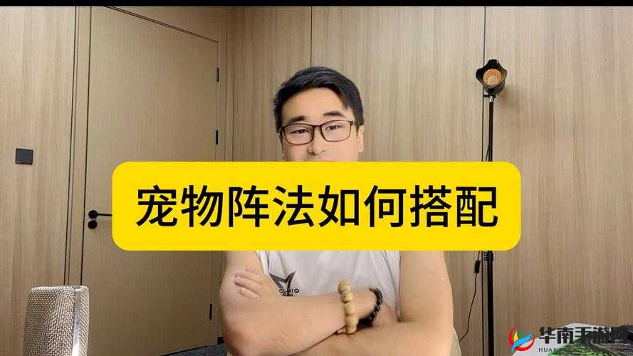 天天炫斗，低阶宠物，不只是起点，更是乐趣与策略的源泉