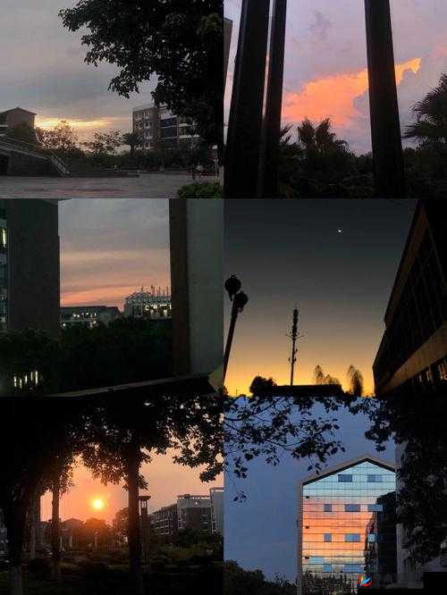 朝阳初升,照亮校园 1-1h 的静谧与美好