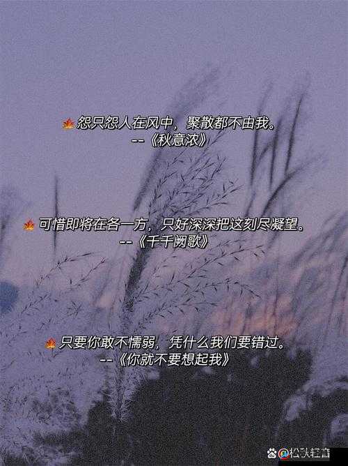 さようなら花泥棒さん歌词痛心网友纷纷直呼太令人感慨