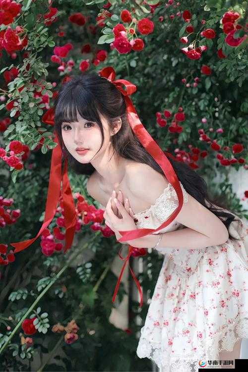 灿烂播放么么么么么么么么：一首充满活力的歌曲