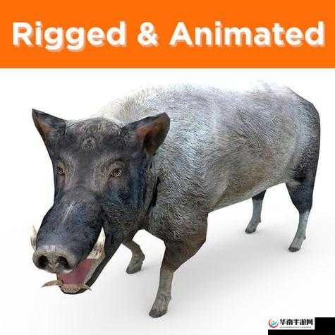 动物 Zoom 合作项目：Zoom 与动物携手共创美好未来