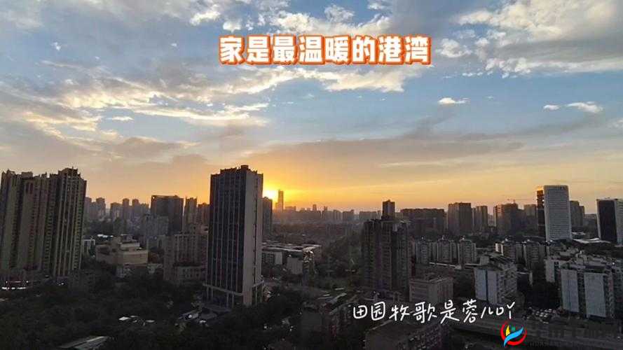 Y1UAN 大家庭：温暖有爱共成长的幸福港湾