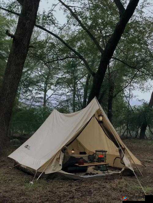 办公室突然撑帐篷怎么回事：探寻背后原因及可能影响