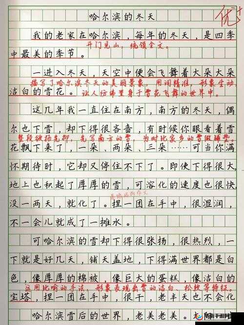 做错一道题放一个冰块作文：冰块带来的特殊惩罚与反思