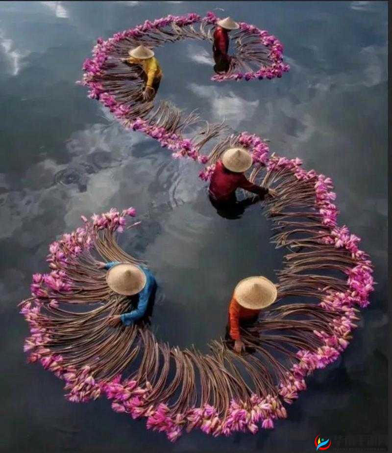 中国大但人文艺术-摄影:探寻其独特魅力与深远意义