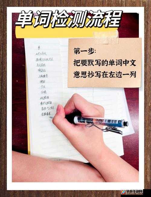 词汇达人养成记:与学霸共坐鸡背单词