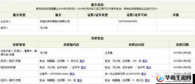 麻花传媒 CEO 引领行业创新发展的战略布局解析