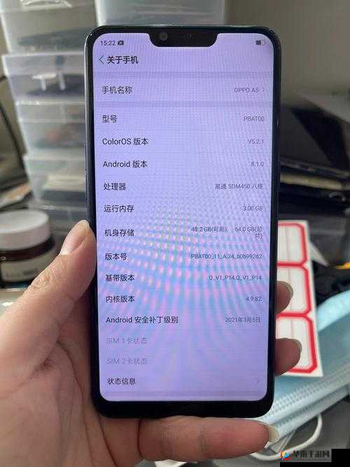 成色好的 P31S 手机如何鉴别-详细方法与注意事项全解析