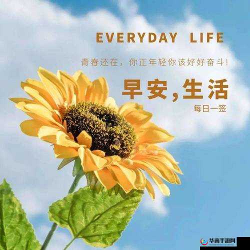 满十八岁自觉带纸转路彰显个人素养与责任