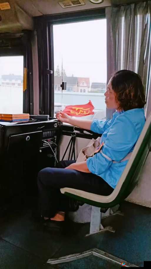 混沌小镇公交车售票员 B 售票：服务与责任的典范