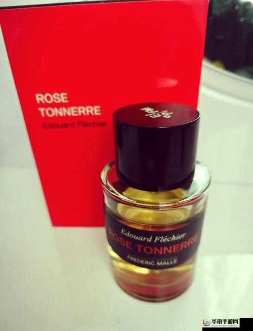 夜色玫瑰比无人区玫瑰贵多少之价格差异分析与比较探讨