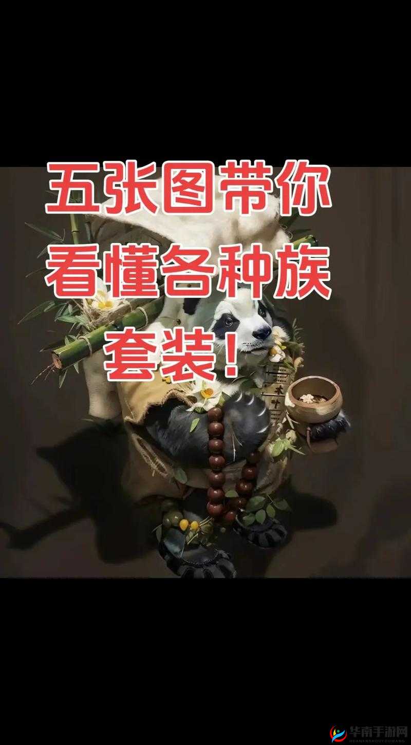 大话西游热血版人族职业打怪伙伴搭配推荐