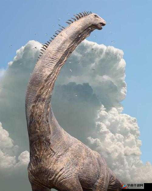 早上醒来发现巨龙竟还在那静静地趴着