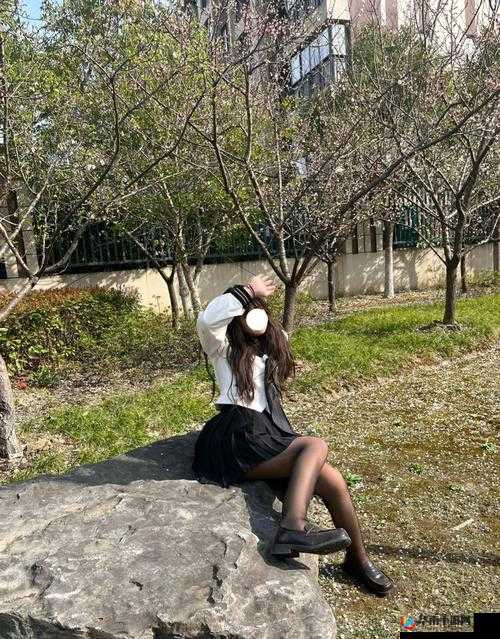 凸凸凹 bbwbbwbbwbbw 神秘意涵探究