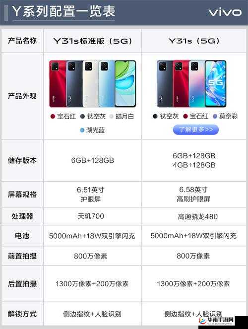 一级成色好的 y31s 标准版评测 - 全方位深度解析