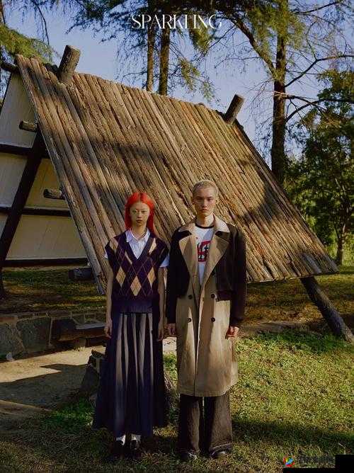 日本 sparksparkling 调及其背后的文化内涵与艺术魅力