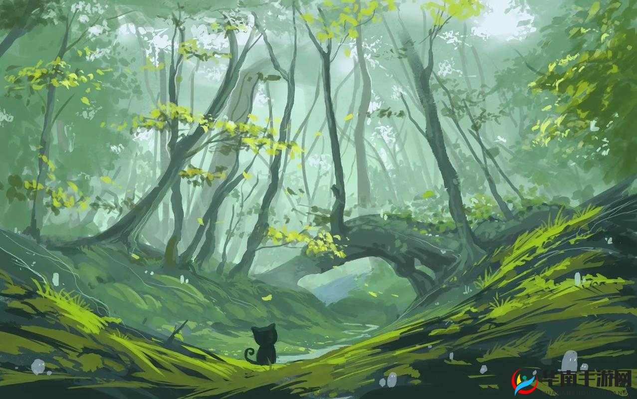 罗小黑战记，探索幻想世界的奇妙之旅