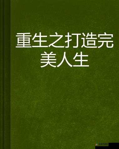 秘籍完美手册：打造完美人生的终极指南