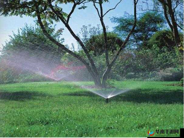 优质 RB 灌溉 jy 系统沉浮的发展与变迁