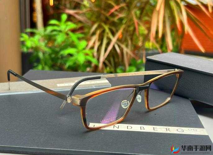 1819 岁 macbook-pro 高清的功能特点：引领科技潮流的卓越之选