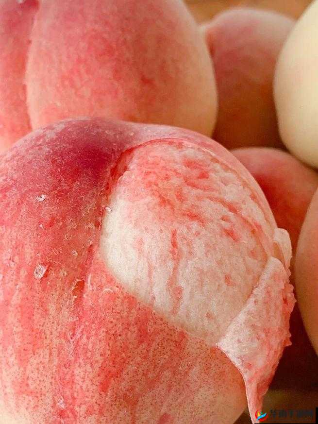 水帘洞肉桂水蜜桃 K8：口感鲜美让人难忘的独特水果