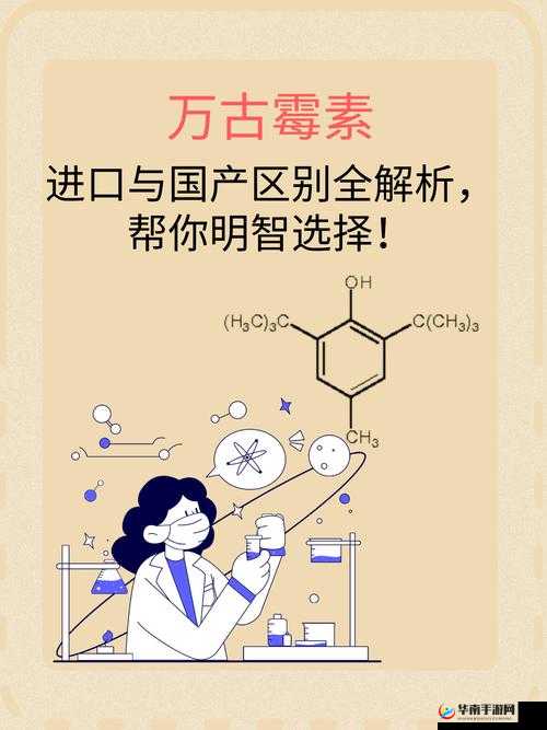 国产一区与二区的区别：深入剖析其差异特点