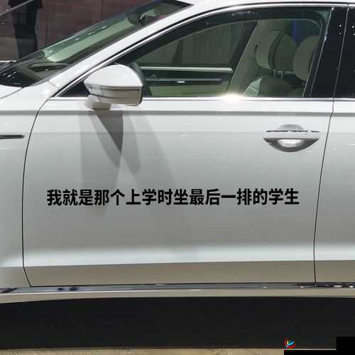 长途汽车上与陌生人在最后一排的奇妙邂逅故事