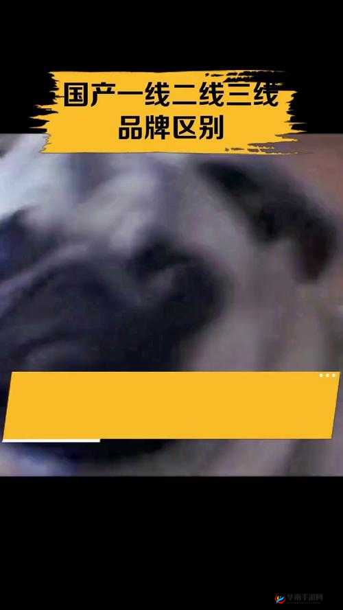国产精品一线二线三线有什么区别之详细解读与深入分析