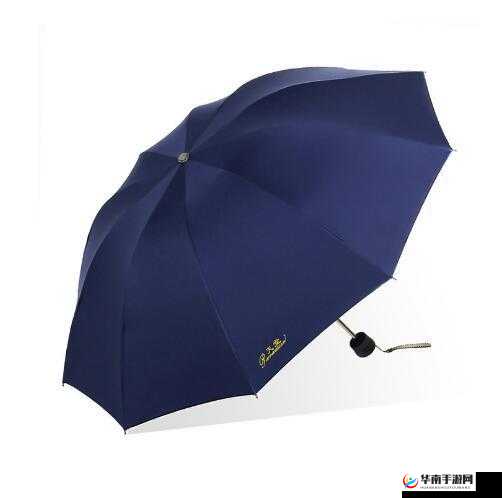 天堂伞 33188e:数字世界边缘的探索者