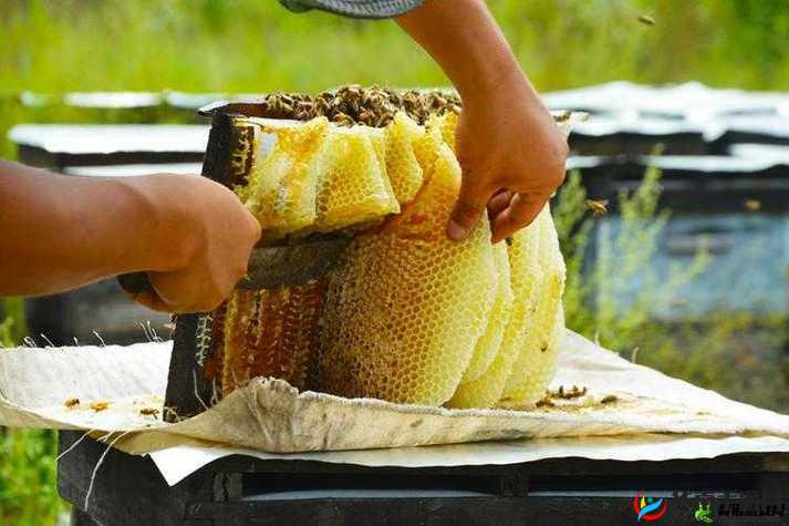 采蜜 1v.1h 方橙采意体验：沉浸式身心享受