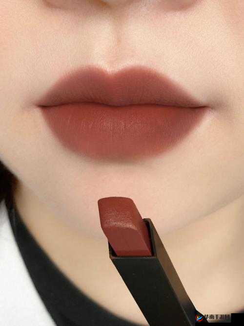 YSL 蜜桃棕调色:打造迷人妆容的时尚密码与独特魅力展现