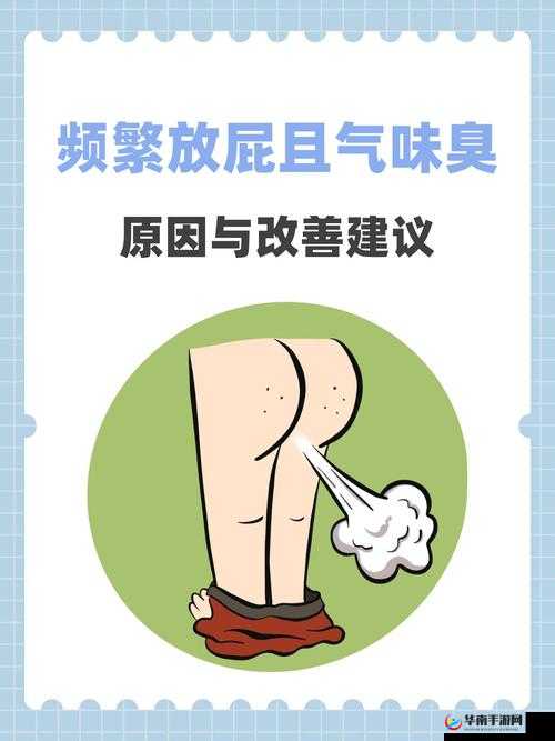 探秘 14MAY18-XXXXXL 放屁：一场独特的气味探索之旅