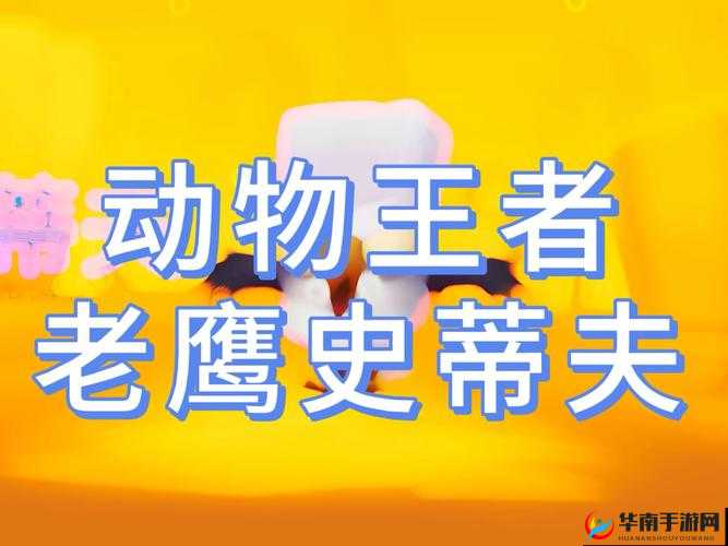 动物王者安全跑图技巧及注意事项：提升速度与安全性的指南