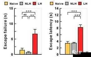 大将军 1v2lh 怀孕原因探析及相关情况说明