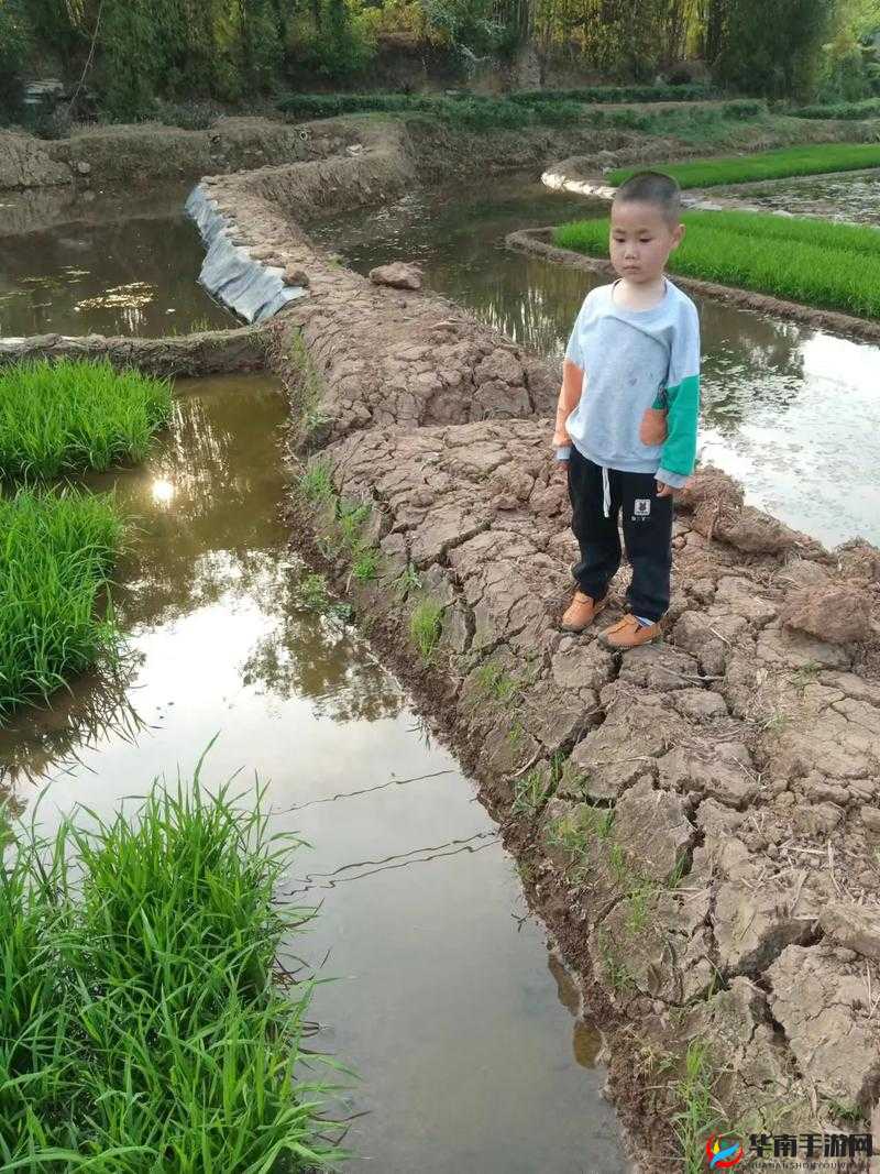 情侣插秧的 100 种方法:浪漫田园生活的独特体验与乐趣分享