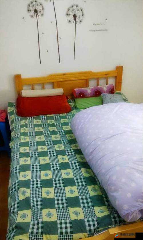 出租房里的那些不得不说的故事