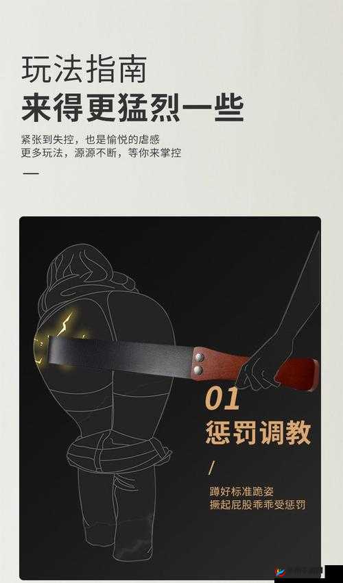 金牌惩戒师 sp 实验教程：全面深入的实践指南与技巧解析
