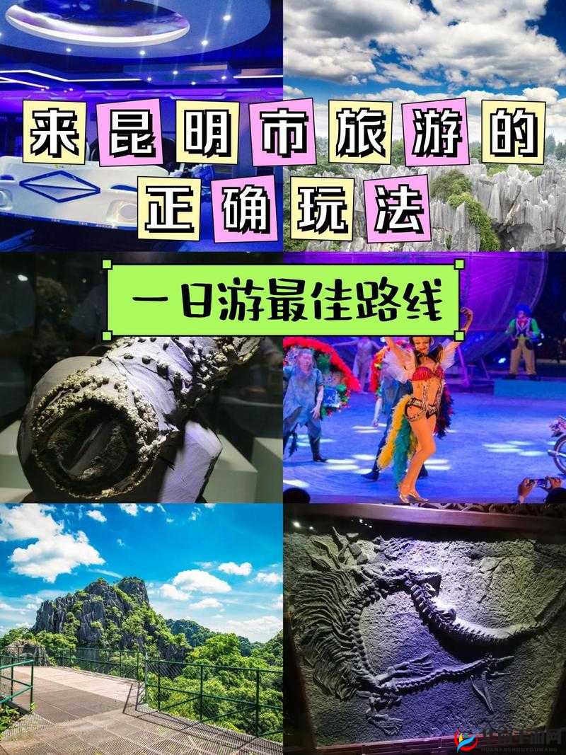 她开始慢迎迎合骊珠迎龙：一段奇妙的神秘历程即将开启