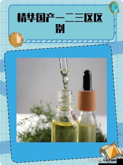 精华液一区二区的区别：你需要了解的关键信息