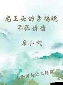 老王头的幸福晚年张倩倩：携手共谱温馨生活乐章