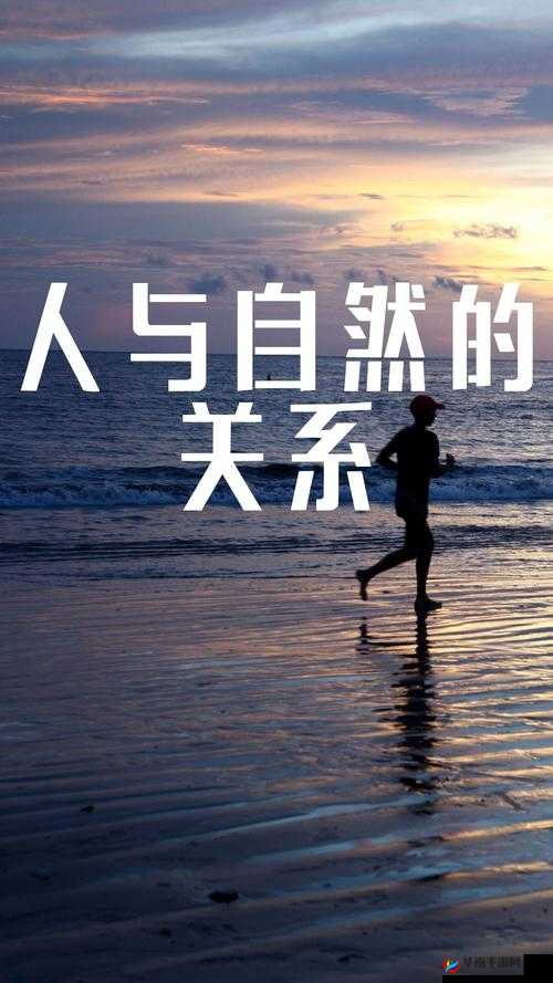 畜禽与人的和谐共生:探索可持续发展之路