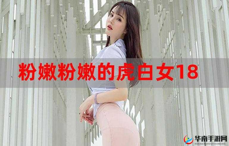 粉嫩粉嫩的虎白女：萌宠的魅力与可爱