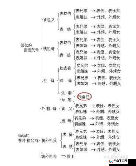 我妻子的姐姐的女儿，我应该怎么称呼她呢