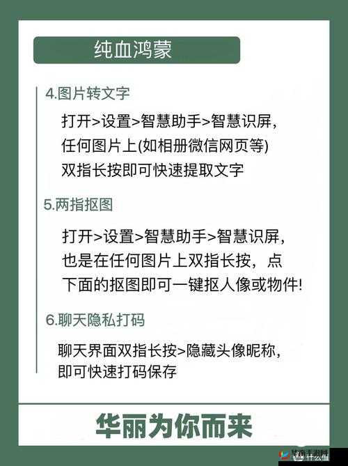 100 种禁用软件不收费：带你了解其背后的秘密与影响