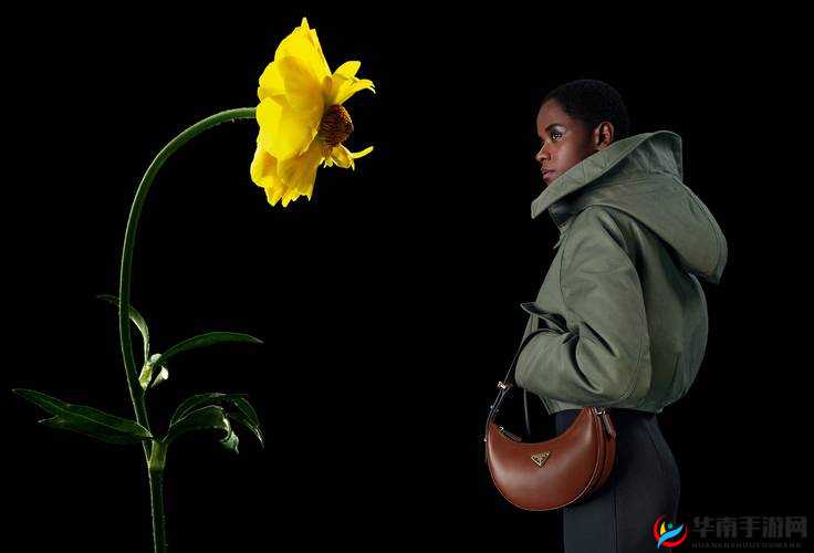 美国肉大棒一进一出免费视频:独特视角下的别样呈现