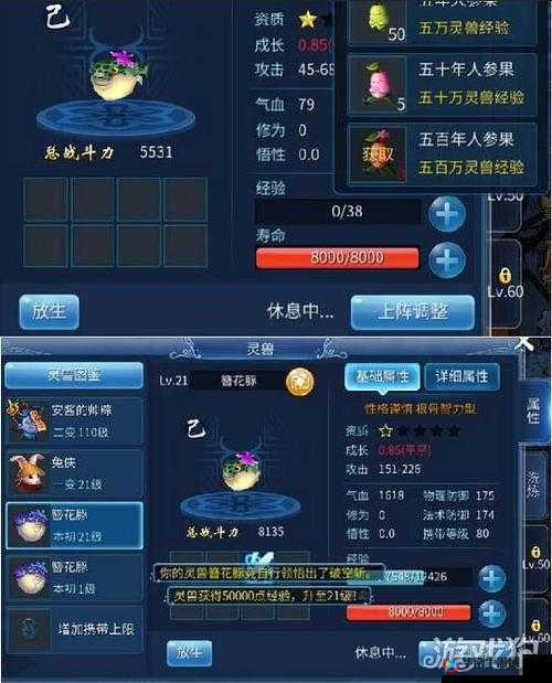 倩女幽魂手游灵兽技能指南,省钱攻略大揭秘