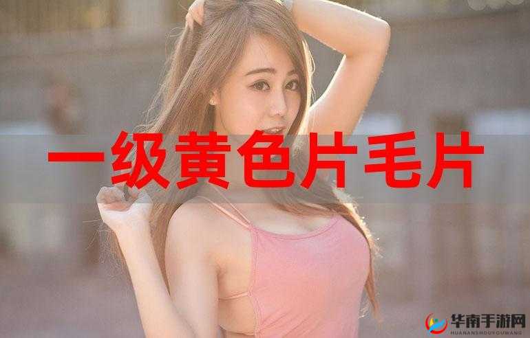 日产十大黄色软件相关内容引发广泛关注探讨