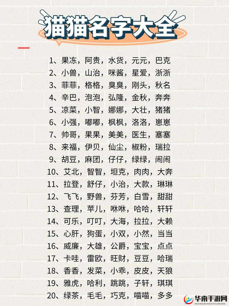 新版猫咪地域网名推荐大全：猫咪的世界，地域网名大揭秘