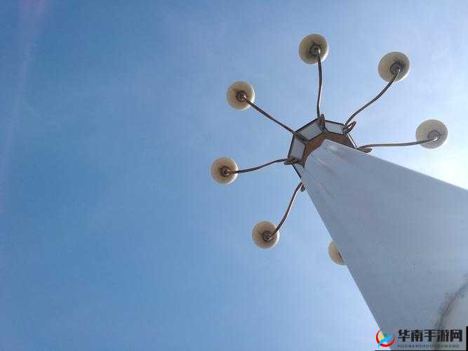 jjZZ 日本相关：独特视角下的日化探究